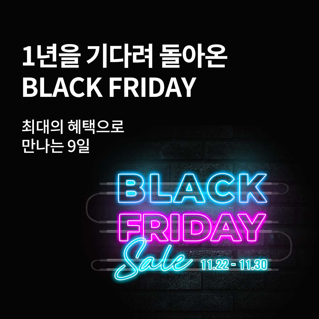 1년을 기다려 돌아온 BLACK FRIDAY